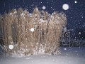December2009 141